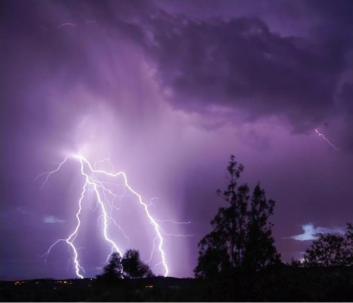 Cloud to ground lightning against night sky; trees in background
