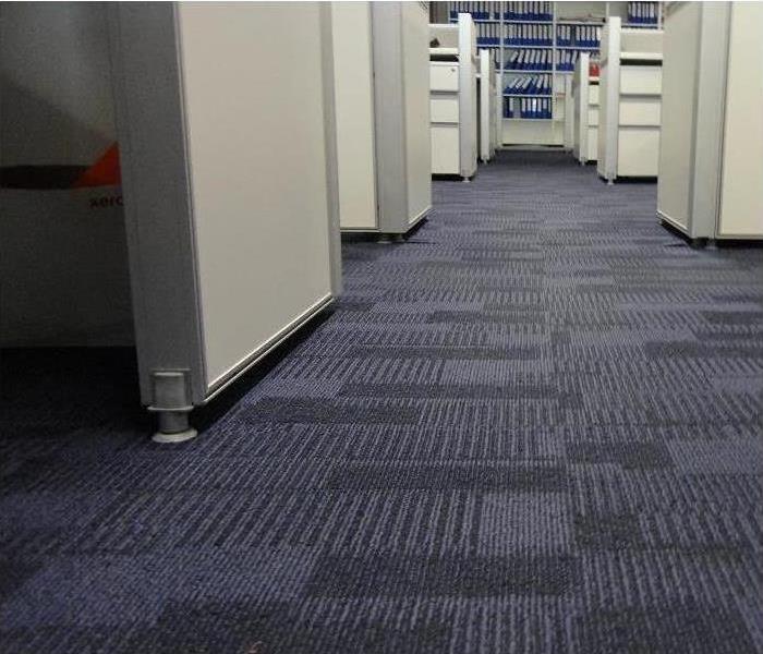 close up of carpet in office; cubicles seen